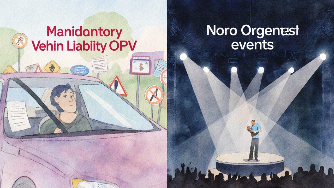 Rozdělený obraz: řidič auta (povinné pojištění) vs. organizátor koncertu (dobrovolné pojištění).